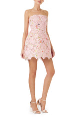 Printed Lace Mini Dress