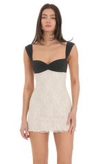 Two Toned Lace Dress in Black and Cream