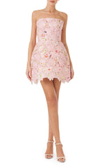 Printed Lace Mini Dress